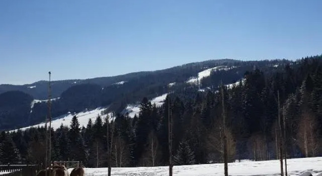 Domek na Obidzy, Book Hotel Piwniczna-Zdroj Beskid Sądecki