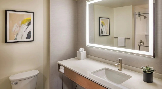 Люкс c 1 комнатой Crowne Plaza Cleveland at Playhouse Square by IHG