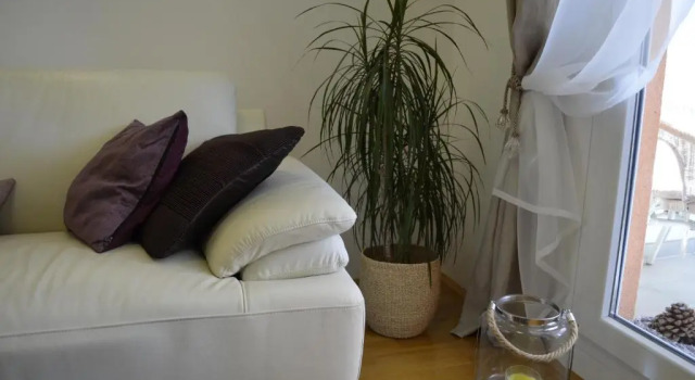 Harmony Apartment