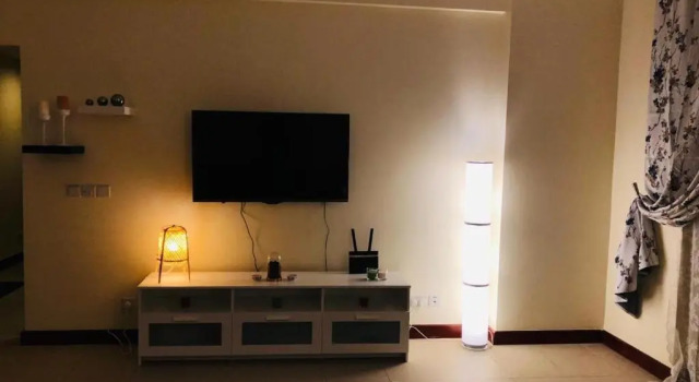بلاتينيوم 205