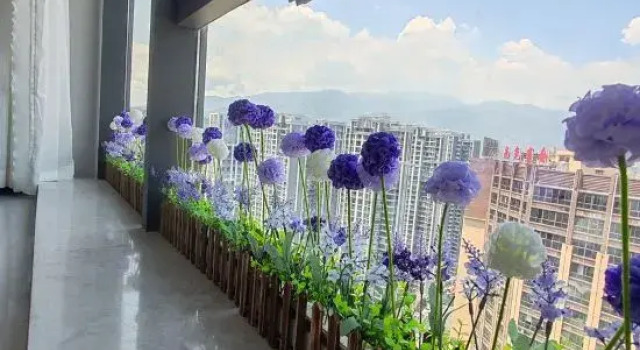 Xiao Ai Tongxue's Homestay (Panzhihua University Wanda Plaza), Reserva ahora Hotel Panzhihua Sichuan