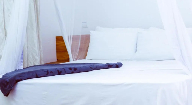 Двухместный номер Standard с балконом и с красивым видом из окна Triniti Airport Hotel