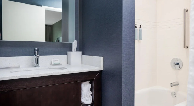 Люкс Residence Inn by Marriott Decatur Emory Area