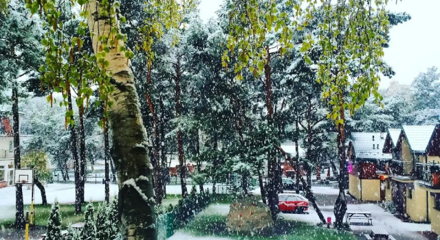 Студия Standard Pelikan Resort Dźwirzyno - Domki przy plaży