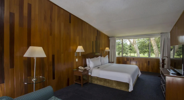 Superior Double room Gamma Pachuca