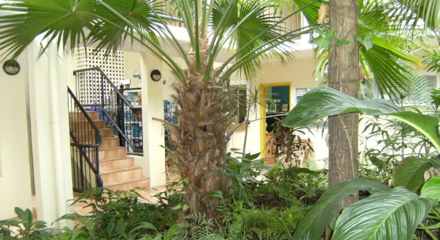 Апартаменты c 1 комнатой Villa Vaucluse Apartments