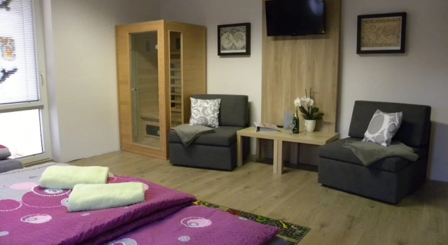Апартаменты Standard c 1 комнатой с балконом Apartment WELLNESS Vlčková