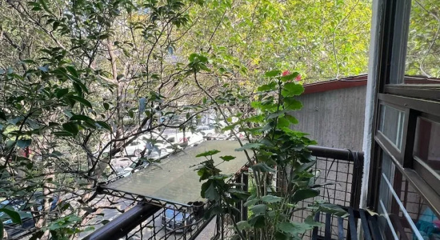 Номер Standard Casa Itzae B&B Polanquito Dog Friendly