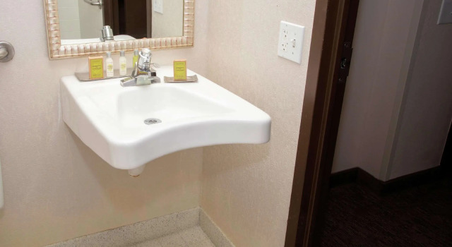 Четырёхместный номер Standard President Abraham Lincoln - A Doubletree by Hilton Hotel