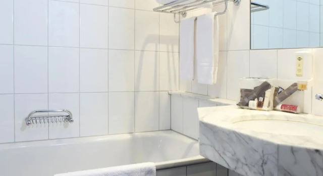 Двухместный номер Deluxe Hotel Montana Zürich