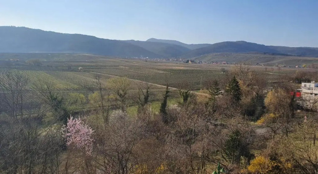 Апартаменты Дуплекс Kanzel Residences