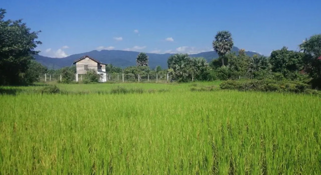 The Hidden Oasis Bungalows, Boek Hotel Kampot 