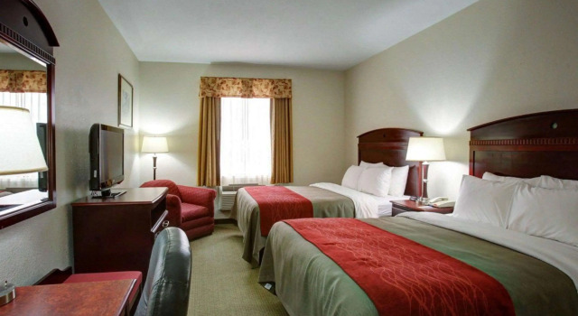 Standard Vierer Zimmer Quality Inn