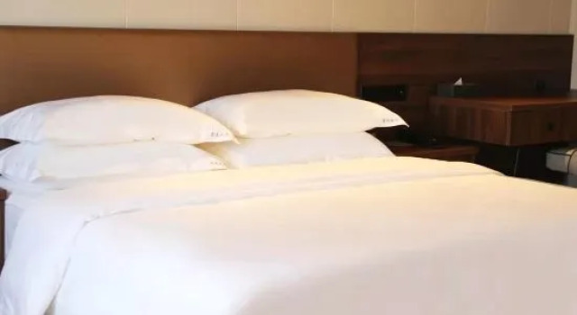 Люкс Deluxe Pu'er Jingyi Hotel