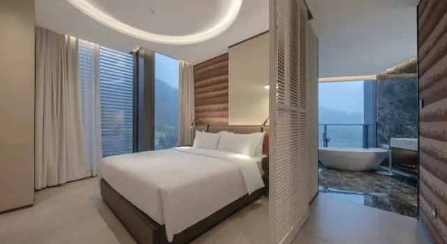 Люкс Deluxe Dusit Thani Mogan Mountain Huzhou