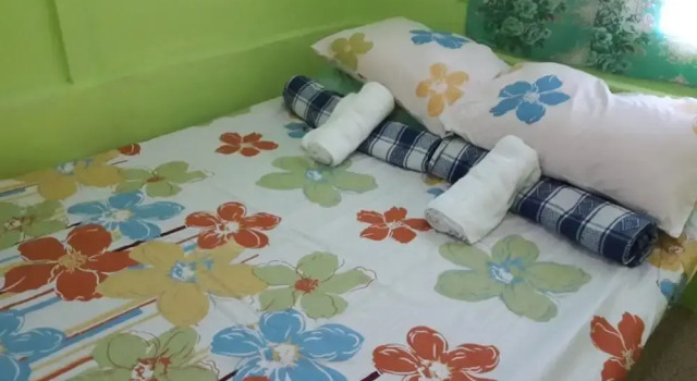 Семейный номер Standard Green Bamboo Transient House