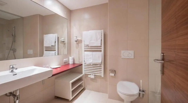 Трёхместный номер Standard Hotel Malerhaus
