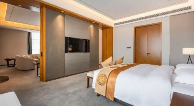 Люкс Business Shaanxi Hancheng Qiangda Grand Skylight Hotel