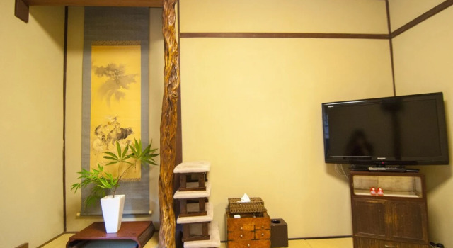 Bamboo Town, Book Hotel Ōta Kyoto