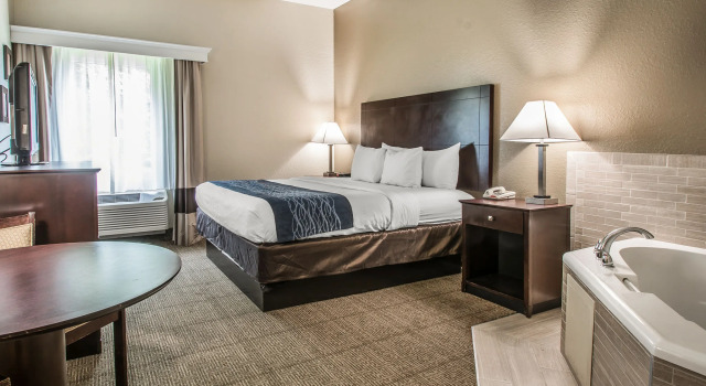 Номер Standard Comfort Inn & Suites DeLand - near University