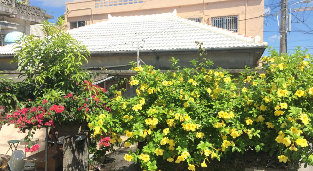 Кровать в общем номере (мужской номер) Goyah-so Guesthouse