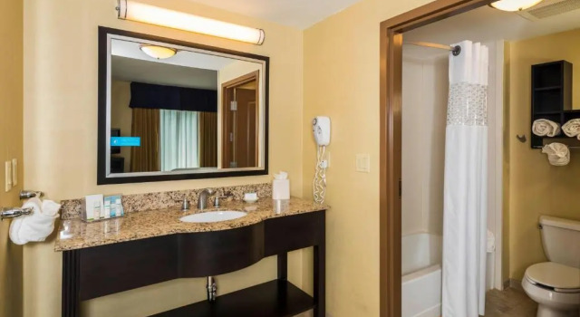 Двухместная студия Hampton Inn & Suites Jacksonville South - Bartram Park