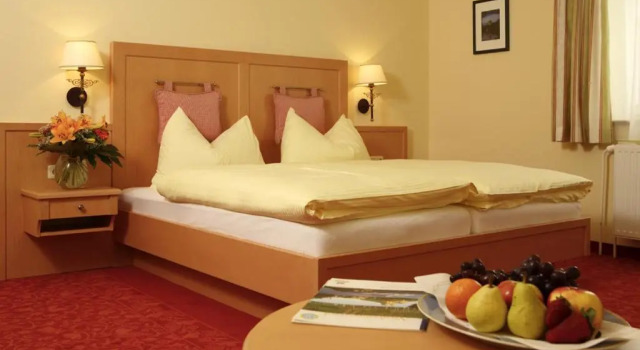 Номер Standard Hotel Wachau