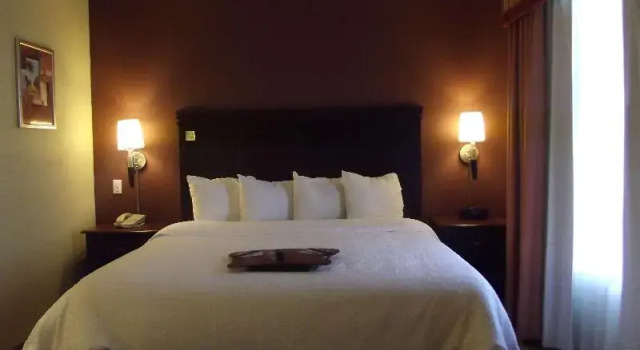 Студия Standard Hampton Inn & Suites Gainesville