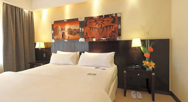 Полулюкс Standard Hotel Alejandro I, Affiliated by Meliá