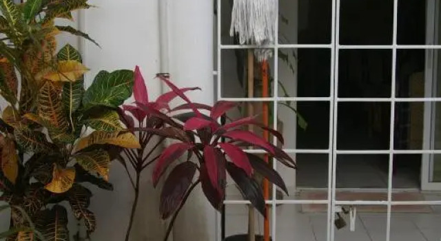Apartment Playa Encuentro, Buchen Sie Ferienwohnung Sosúa Provinz Puerto Plata
