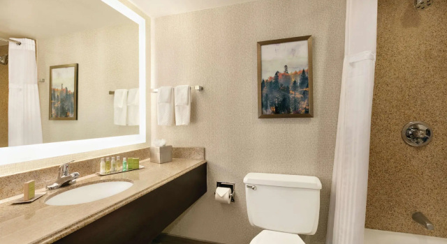 Четырёхместный номер DoubleTree by Hilton Atlanta Northeast/Northlake