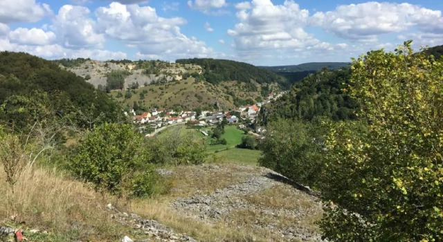 Апартаменты Haus "Am Mühlheimer Berg"
