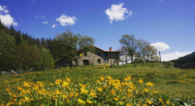 Двухместный номер Standard Casa rural Abatetxe