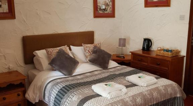 Номер Deluxe Black Dog Inn