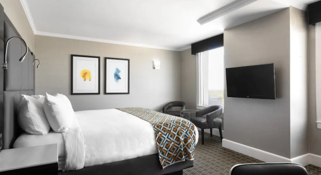 Одноместный номер Premium voco The Tiger Hotel, Columbia, MO by IHG