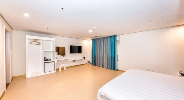 Полулюкс Virginia Hotel
