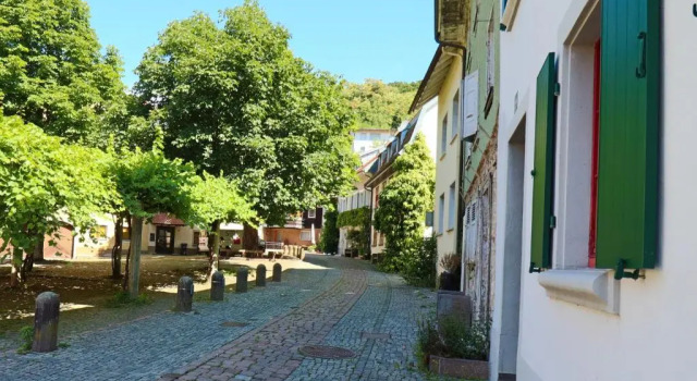 Апартаменты Deluxe Apartment Gelb I Altstadt I Netflix I Schwarzwald