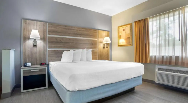 Номер Standard Best Western Wakulla Inn & Suites
