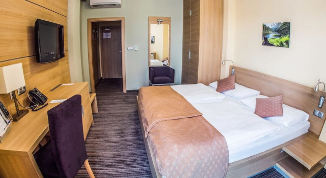 Двухместный номер Executive Alexandra Business Hotel