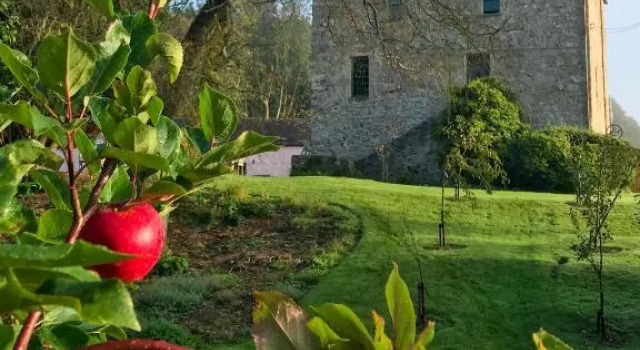 The Lady Maxwell Room at Buittle Castle