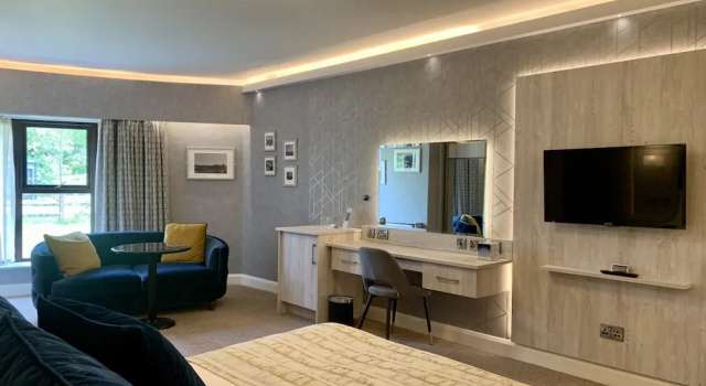 Двухместный номер Executive Mill Park Hotel