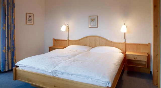 Двухместный номер Superior Hotel Alpina Parpan