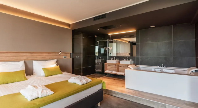Двухместный люкс Executive Hotel Olea