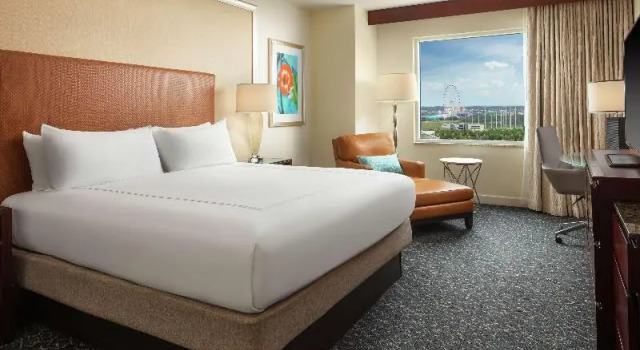 Zimmer Hilton Orlando