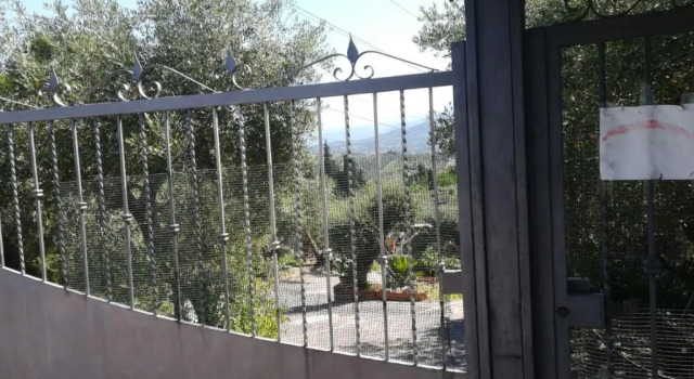 Коттедж La casa tra gli ulivi di Fonte Nuova