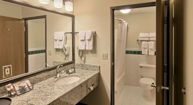 Номер Standard Blossom Hotel & Suites Traverse City