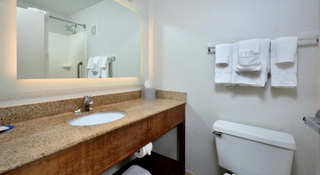 Двухместный номер Standard Holiday Inn Express Lynchburg by IHG