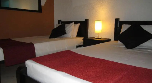 Standard Zimmer HCR Cali