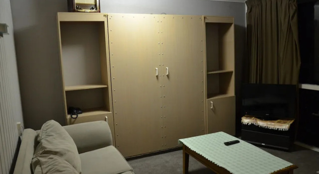 Апартаменты Parnell City Lodge