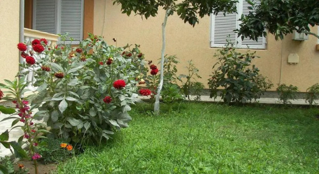 Двухместный номер Standard Apartments Dalila